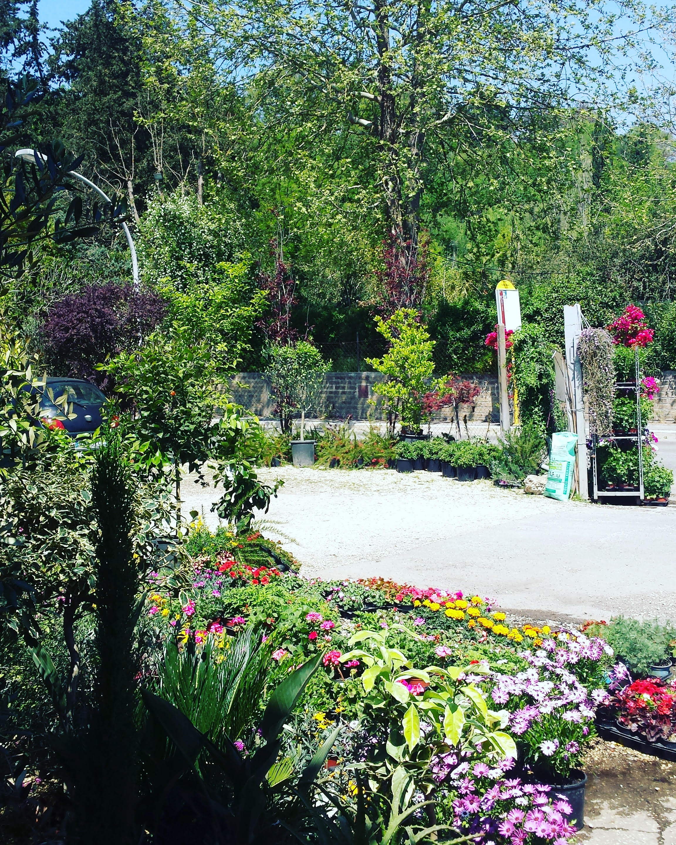 Giardini, prato terrazzi